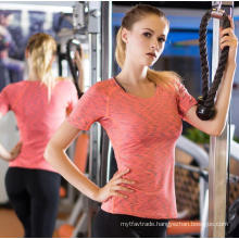 Sport & Fitness Clothing Women T-Shirt Quick Sweat